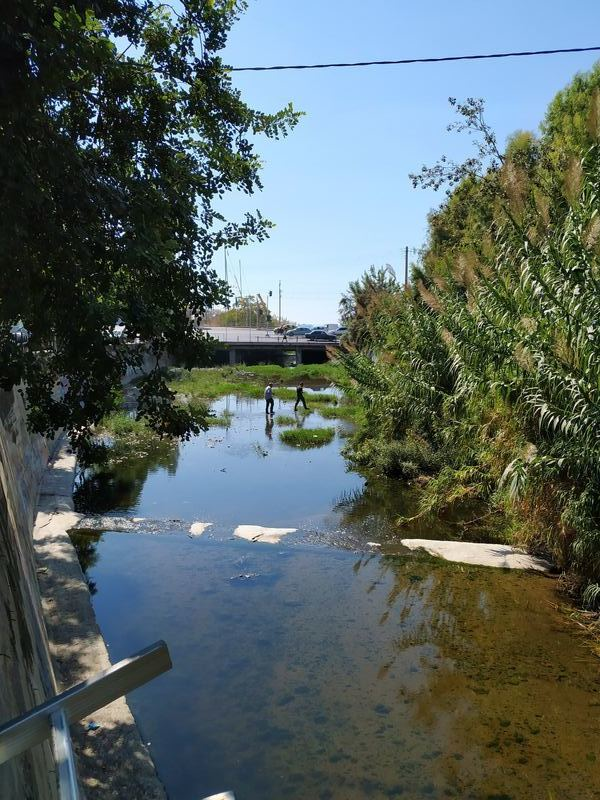 Pikrodaphni river